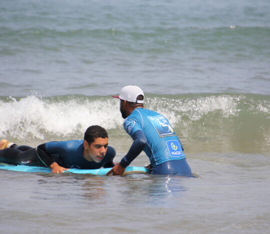 HandiSurf